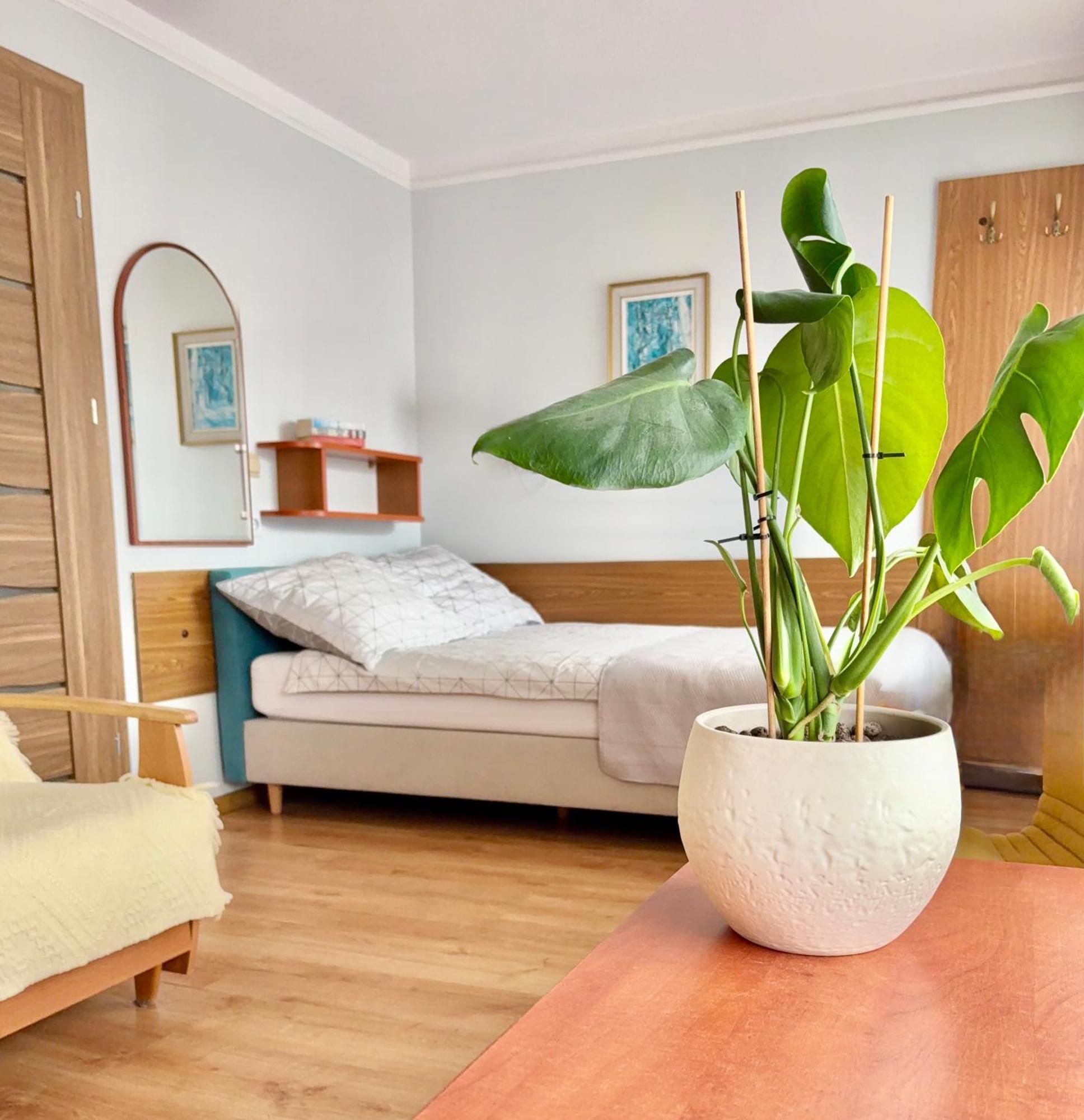 Bed and Breakfast Fonica Леба Экстерьер фото